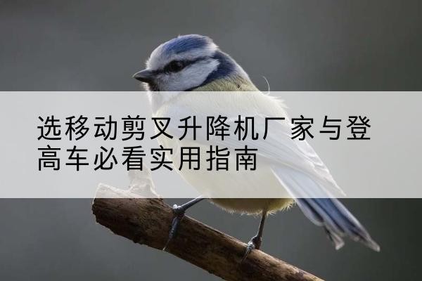 绍兴电动升降机厂家-选移动剪叉升降机厂家与登高车必看实用指南