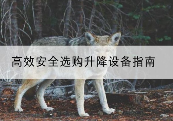 绍兴升降货梯厂家推荐-*安全选购升降设备指南